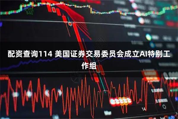 配资查询114 美国证券交易委员会成立AI特别工作组